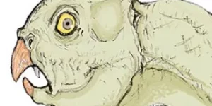 수안후아케라톱스