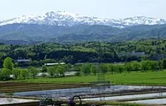 알발로포사우루스