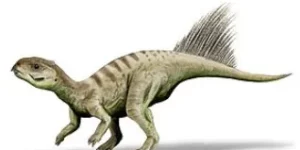 차오양사우루스과